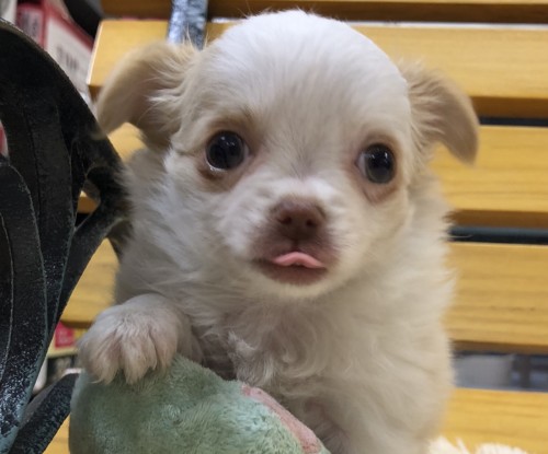 写真 2020-02-19 18 25 09