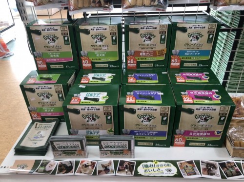 写真 2020-02-13 14 24 43 (1)