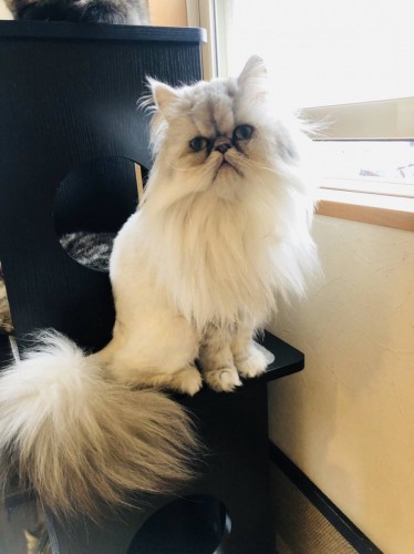 写真 2020-03-03 17 03 05