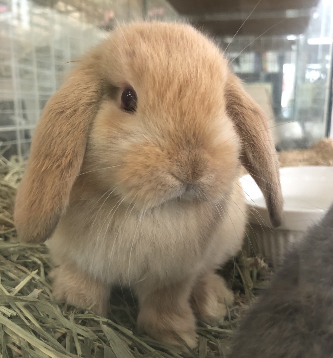 写真 2020-03-28 13 46 41