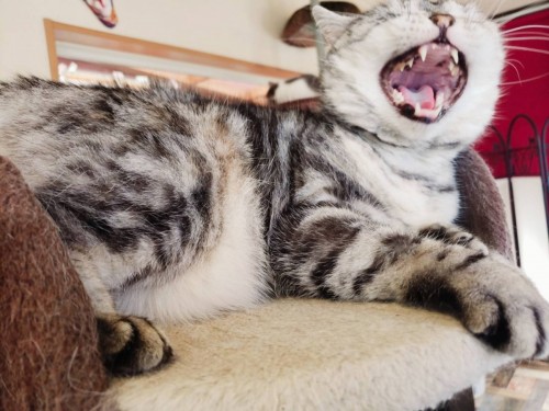 写真 2020-03-03 15 21 03