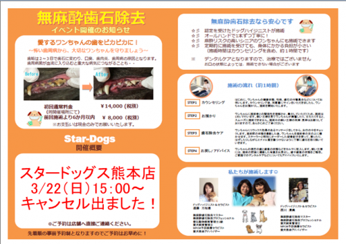 スクリーンショット 2020-03-20 12.41.38