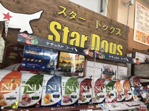 写真 2020-03-06 11 53 19