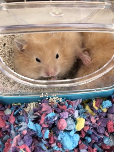 写真 2020-03-17 13 06 46