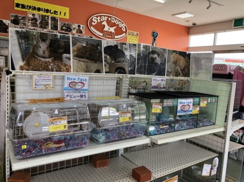 写真 2020-03-17 13 06 49