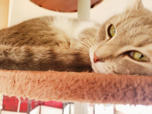 写真 2020-03-03 15 21 09