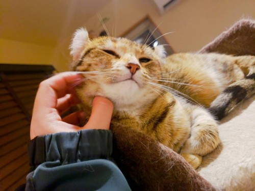 写真 2020-03-03 15 21 01