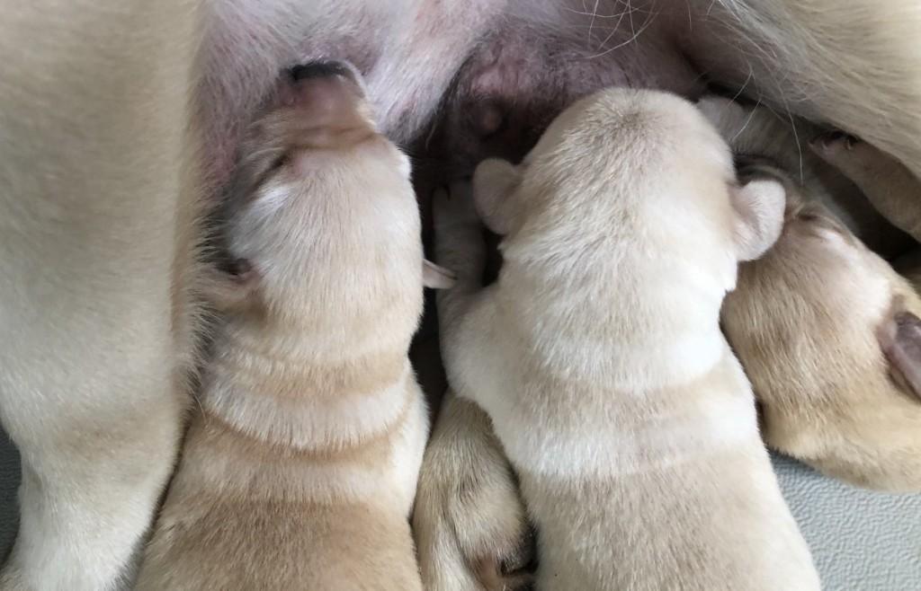 03AEA26B-E6CE-4BC0-83BC-1989C3920F88