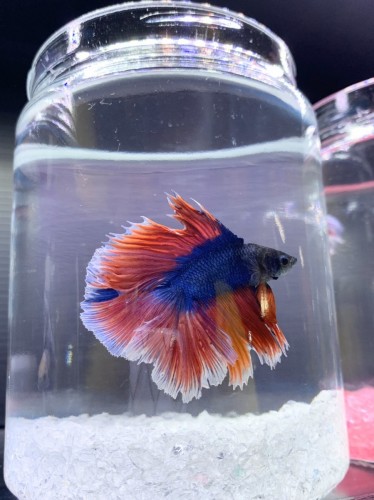 写真 2020-04-24 18 28 44