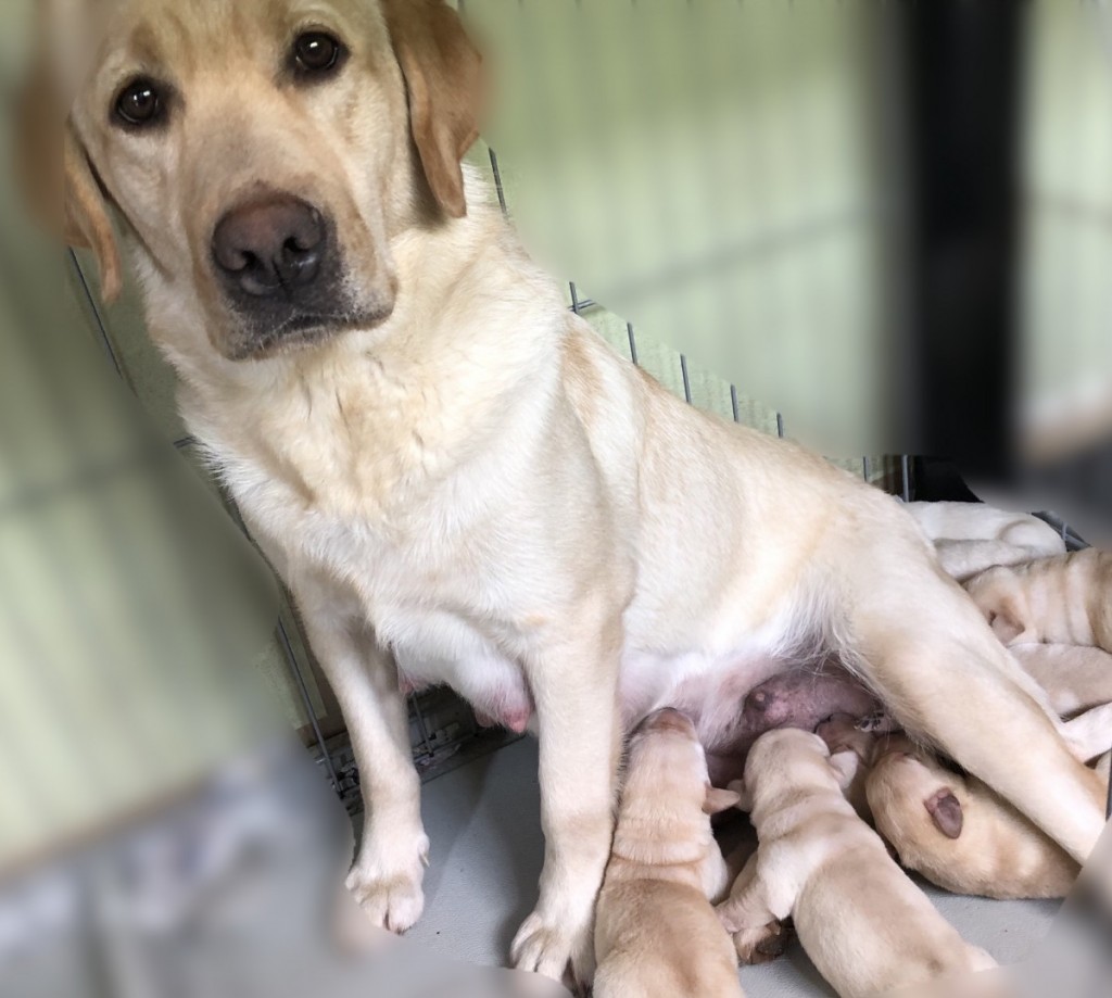 D5DB3A4A-A1B9-49D6-B339-6829CA03B297