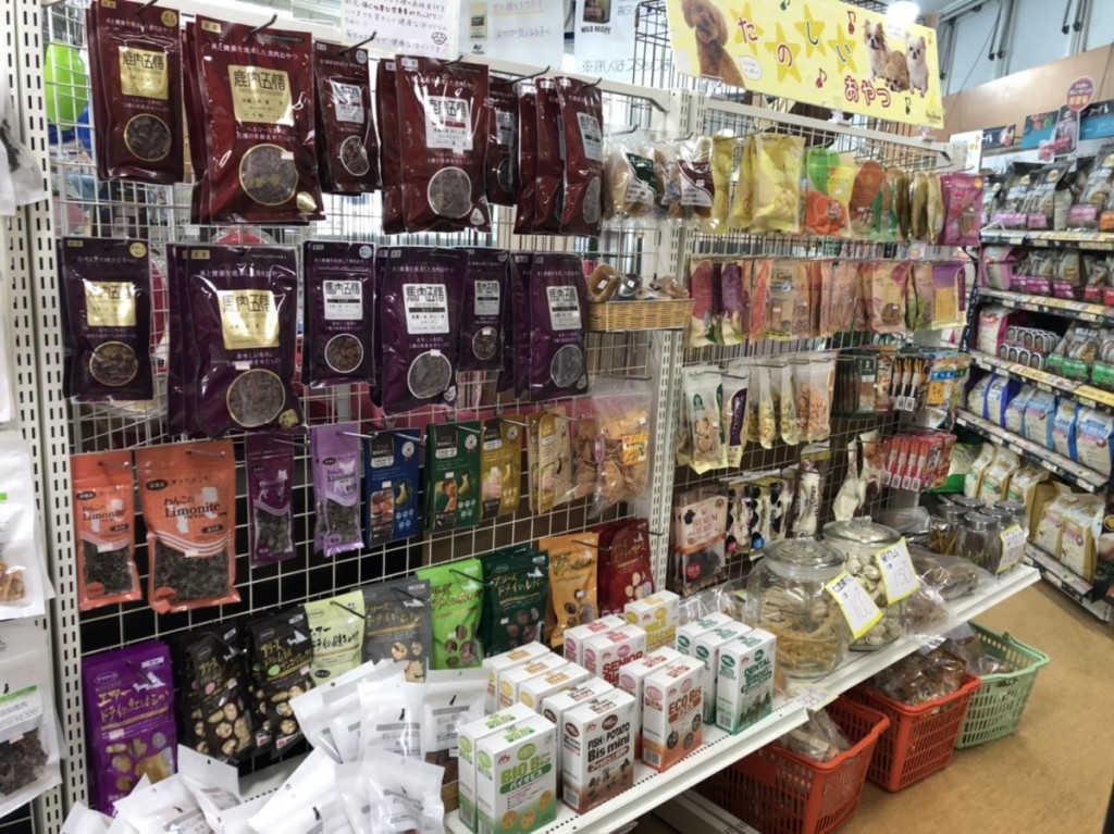 写真 2020-04-01 13 54 59