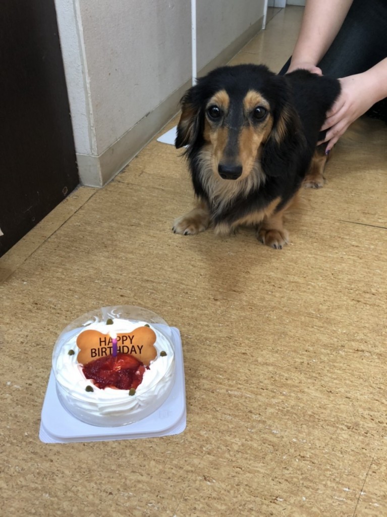 写真 2020-04-03 14 17 29 (1)