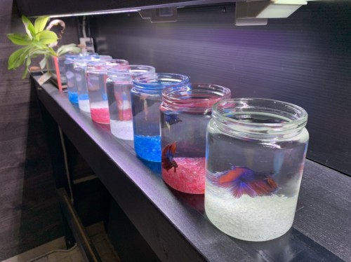 写真 2020-04-24 18 28 35