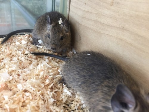 写真 2020-05-08 14 26 28