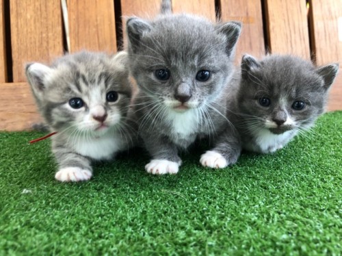 4F006015-88F9-4CD7-AFDD-0CA8BDFF0116