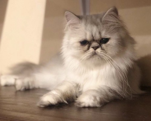 69F836E9-D079-4718-A753-171535F14A5A