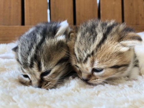 CE0DF00D-A6A4-465E-BA5F-3FE19E8746F0