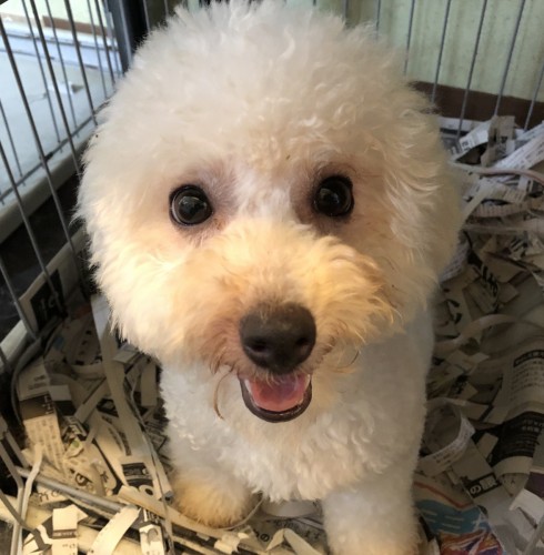 1B368D81-1E7D-432A-825B-343EF3D6AE14