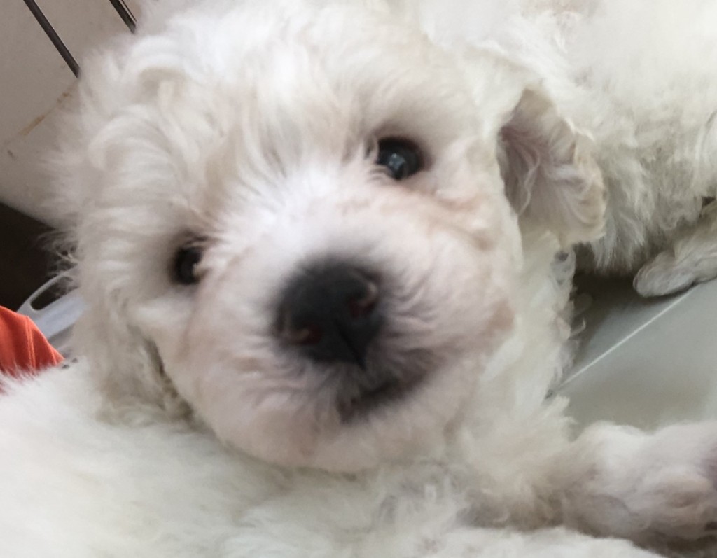 2020-06-23 11.35.20-1