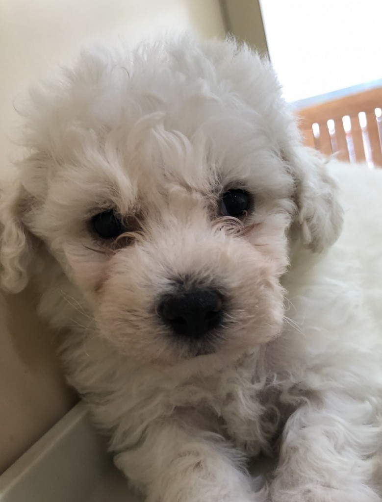 2020-06-23 11.36.13-1