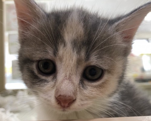 2020-06-29 14.24.23-1