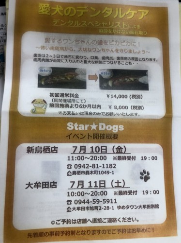 写真 2020-06-14 16 55 04