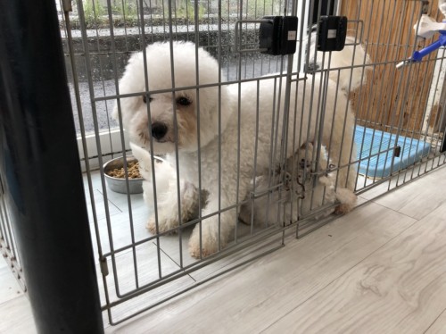 写真 2020-06-27 10 36 11