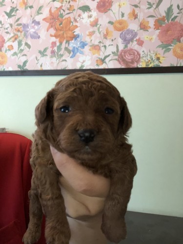 写真 2020-06-19 13 35 56