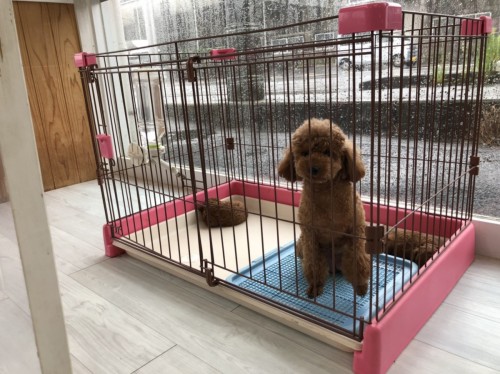 写真 2020-06-27 10 36 07