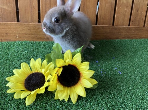 写真 2020-07-28 13 28 06