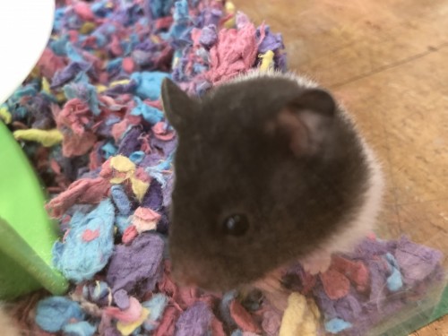 写真 2020-07-29 13 43 45