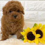 写真 2020-07-19 16 48 43