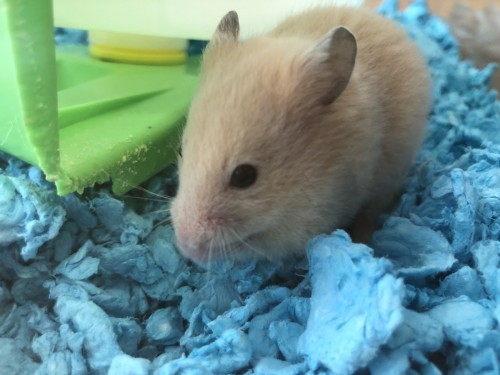 写真 2020-07-29 13 38 21