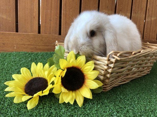 写真 2020-07-28 13 28 15