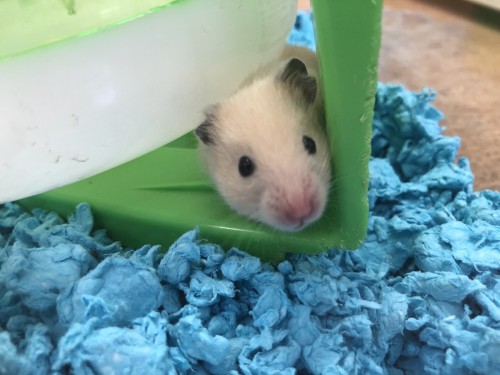 写真 2020-07-29 13 39 04