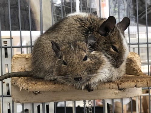 写真 2020-09-17 11 26 49