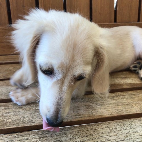 写真 2020-09-30 16 01 39