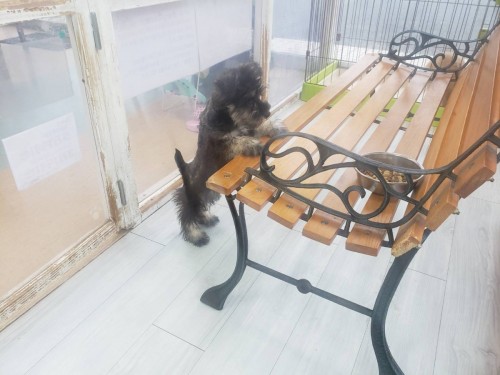 写真 2020-09-26 19 17 00