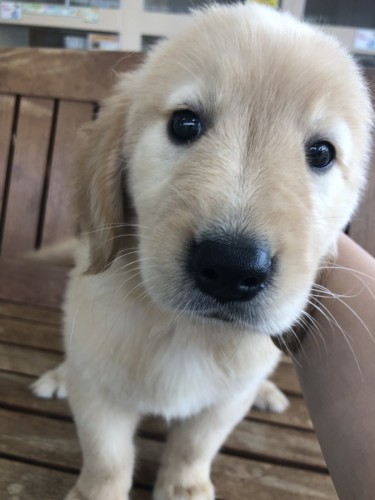 写真 2020-09-18 14 29 58