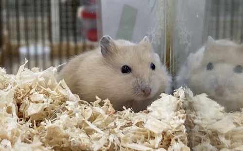 写真 2020-09-10 12 54 39