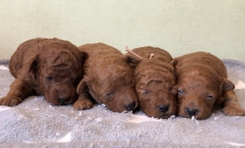 61C779BA-7BAC-483D-80A4-CF7FADCE30DC