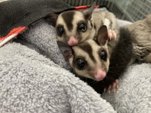 写真 2020-09-25 10 53 59