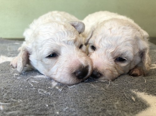 9C2291CB-0D96-4A84-874C-6943B312EBFE