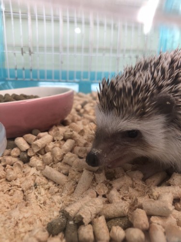 写真 2020-09-23 11 17 07 (1)