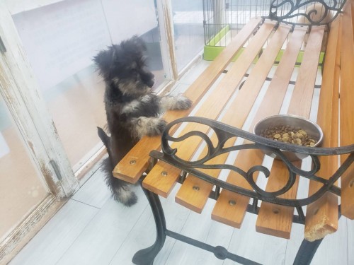 写真 2020-09-26 19 17 02