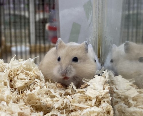 写真 2020-09-10 12 54 40