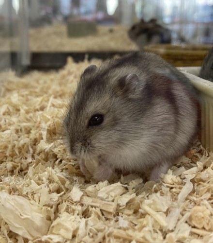 写真 2020-09-10 12 54 49