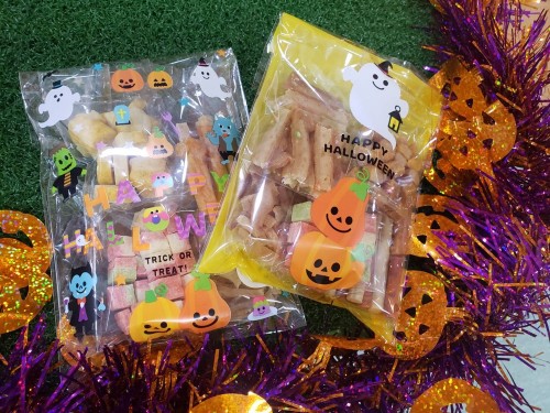 写真 2020-10-02 17 55 15