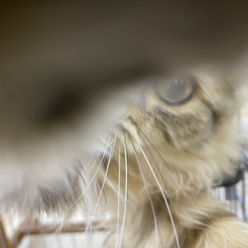 写真 2020-10-21 18 20 21