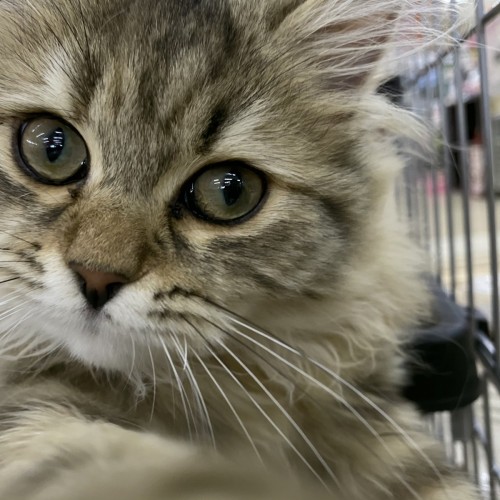 写真 2020-10-21 18 20 23